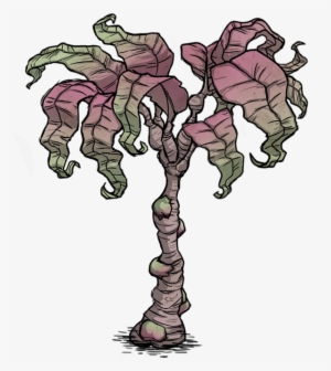 Rainforest Tree Rot - Gif #3388789