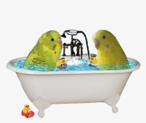 Report This Image - Bathtub #3388807