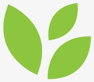 Learn About Rainforest Journey - Rainforest Icon #3388829