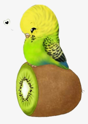 Report Abuse - Parrot #3389030