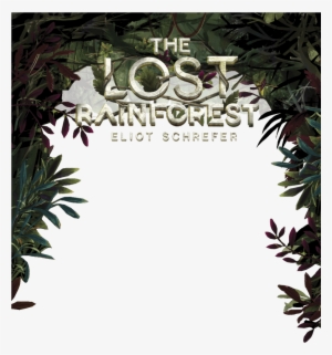Lost Rainforest Book Trailer - 91345 #3389054