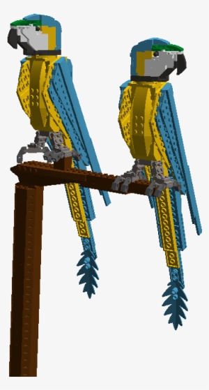 Red & Blue Macaws - Macaw #3389170