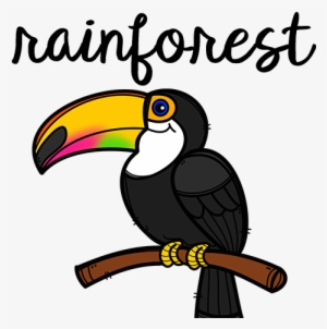 Rainforest - Rainforest Worksheets Preschool #3389193
