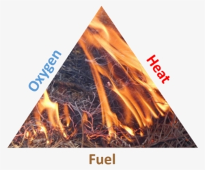 Fire Triangle - Alabama Cooperative Extension System #3389921