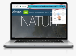 Vimeo Dt 1 - Vimeo #3390224