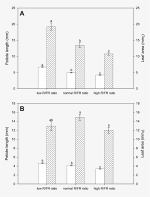 Petiole Lengths And Leaf Areas (mm 2 , Cross Hatched - Thale Cress #3390388