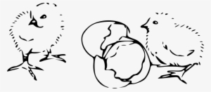 How To Set Use Chicks Hatching Svg Vector - Egg Hatching Clipart Black And White #3391038