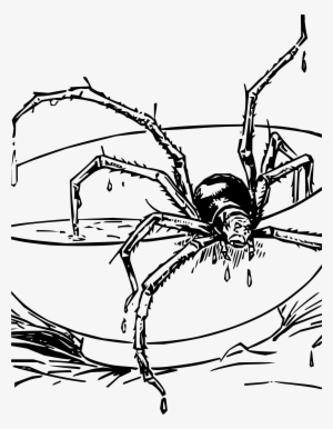 This Free Icons Png Design Of Miss Muffet's Spider #3391533