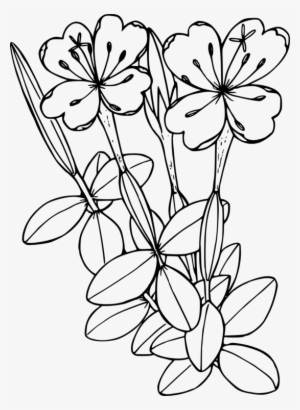 Floral Design Wildflower Flowering Plant - Free Wildflower Clipart Black And White #3391784