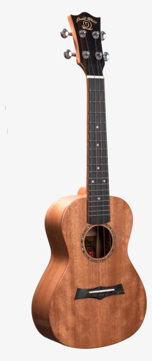 Snail Solid Mahogany Glossy Concert Ukulele #3392474