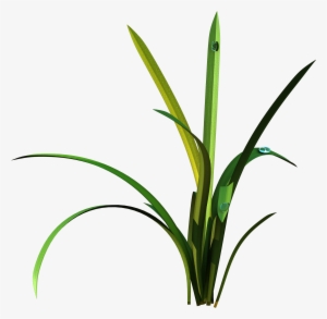 010 Preview10 - Grass #3393099