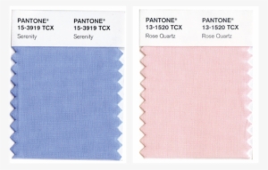 Like So Many People, I Get Super Excited When Pantone - Pantone #3393678
