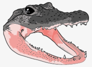 Many Teeth Are Missing, Though Many Remain #3393845