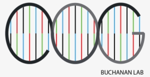 Colorectal Oncogenomics Group - House #3393981