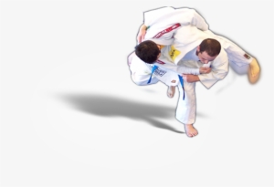 Wordpress - Judo #3397116