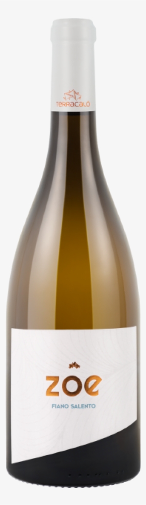 Zoe-fronte A - Villa Wolf Pinot Gris 2016 #3397310 Zoe-fronte A - Villa Wolf Pinot Gris 2016 #3397310