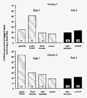 Percentage Of Bees In Each Task Group That Removed - Diagram #3398195