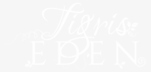 Tigris Eden - Close Icon Png White #3399194