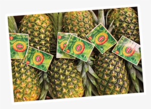 Pineapple Gold - Costa Rica Pineapple Brands #3399629
