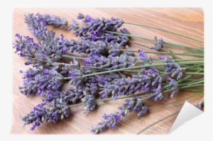 Lavender #3399932