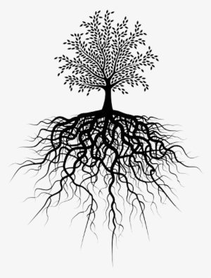 Tree Roots Png - Transparent Tree Of Life #340327