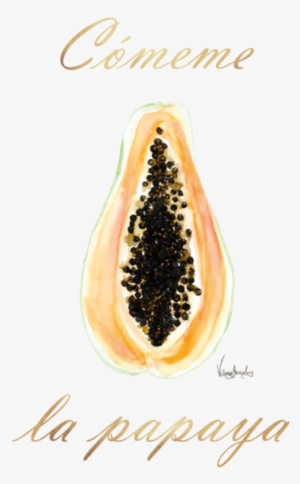 Watercolor And Gouache Illustrations - Aipem #340567