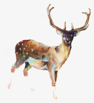 ♀ - Illustration Deer #340937