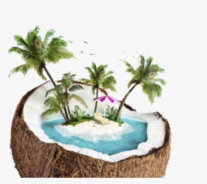 A Beach Inside Of A Coconut - Pronto Soccorso Naturale Per L'estate #341222