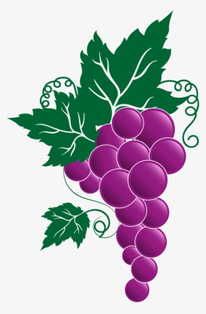 Grape Png Transparent Free Images - Transparent Grape Vine Clipart #341488