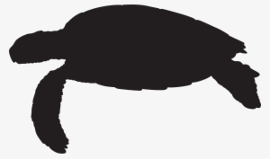 Png Clip Art Image Gallery Yopriceville View - Silhouette Of A Sea Turtle #341533