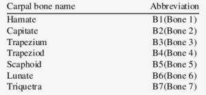 Abbreviations For Carpal Bone - Missouri #341626