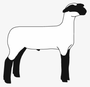 Sheep Png Images Transparent Free Download - Show Sheep Silhouette #341801