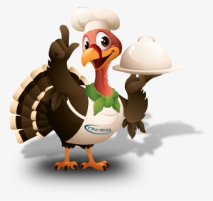 Turkey - Thanksgiving #341863