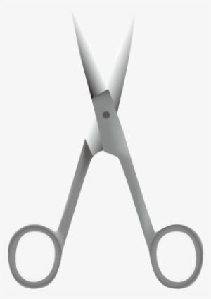 Dissecting Scissors - Scissors #341955