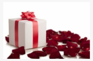 Box Of Fresh Rose Petals - Stock Photography #341984