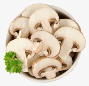 Mushrooms Clipart Wallpaper - Mushroom #342410