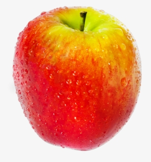 Look Out For The Distinctive Bright Blue Label On Every - Pomme Jazz #342645