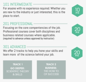 Diploma-levels - Sign #343087