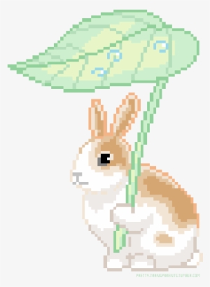 Bunny, Png, And Transparent Image - Pixel #343347