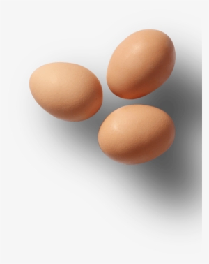 Eggs - Egg #344075
