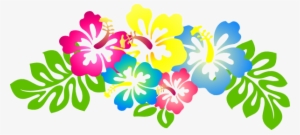 Hibiscus Png Hd - Orange Hibiscus Flower Png - Free Transparent PNG ...