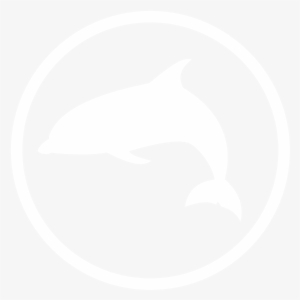 Dolphin Encounter - Wholphin #344630