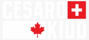 Wwe Network Logo Png - Canada Flag #344675