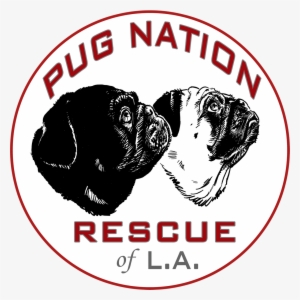Pnla Logo Final - Pug #345017