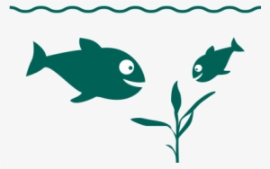 The Eqa River Generates Clean Energy From Free Flowing - Coral Reef Fish #345597