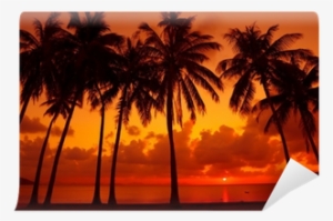 Palm Trees Silhouette On Tropical Beach At - Photograph #345681