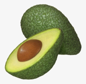 Half Avocado Png Clipart - Avocado Illustration #345702