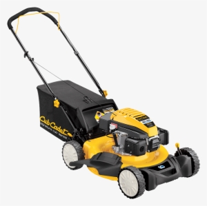 It's Time To Buy A Lawn Mower But You've Got A Budget #346226