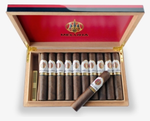 On The Meluha Cigar, It Signifies A Triumph Of Contentment - Guinness #346535