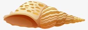 Sea Shell Png Clip Art - Shell Png #347103